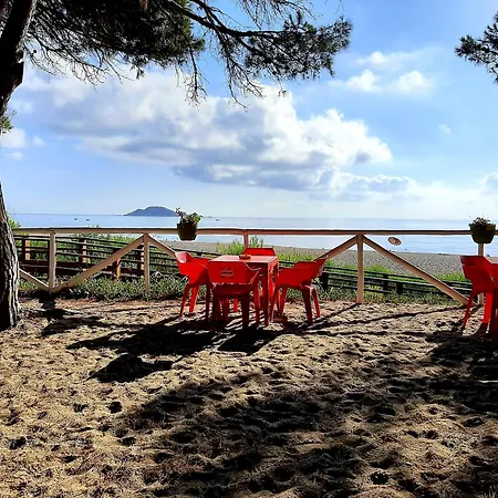 Le Tre Peonie 토르톨리